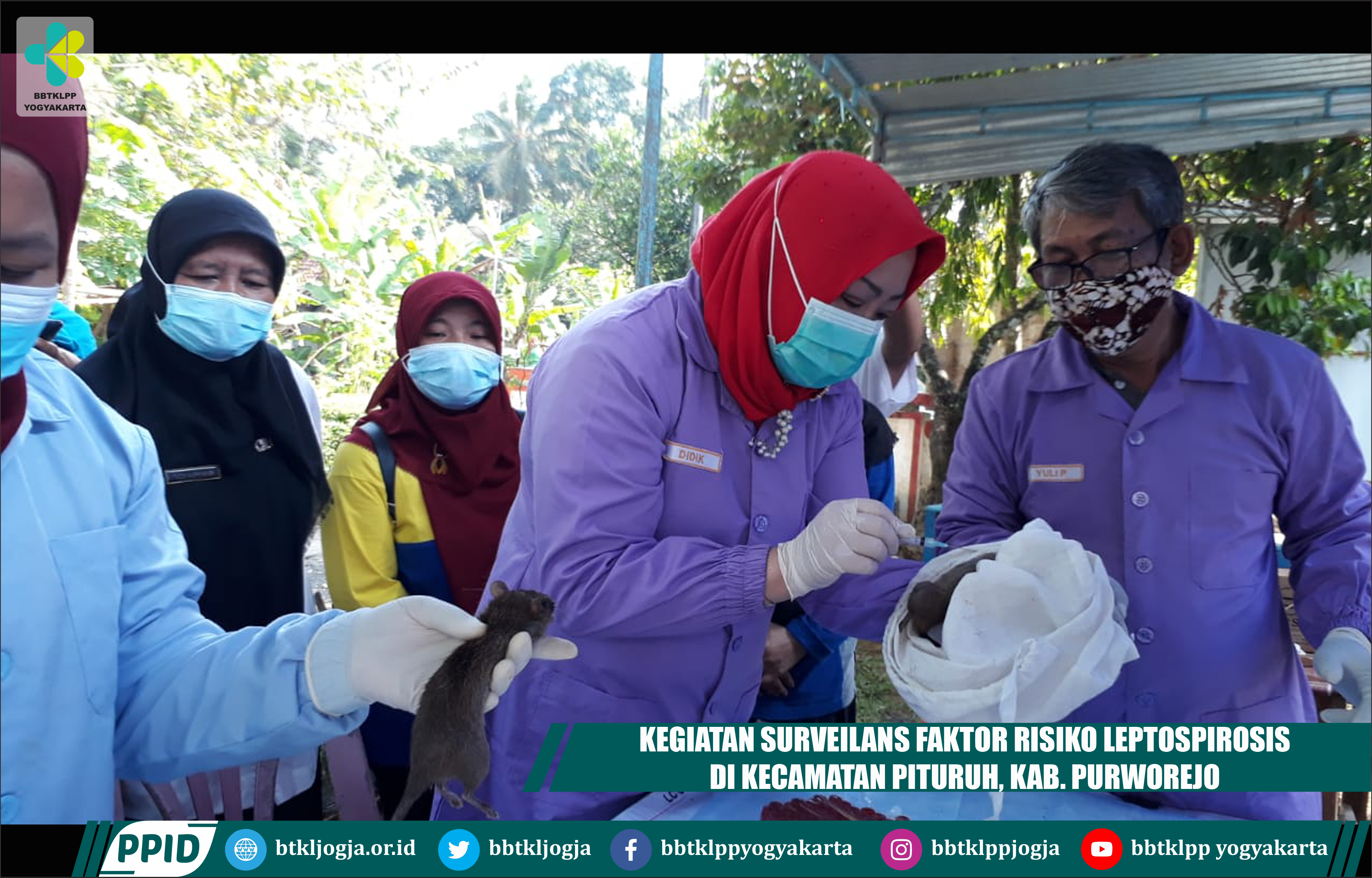 Kegiatan Surveilans Faktor Risiko Leptospirosis Di Kecamatan Pituruh, Kab. Purworejo